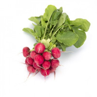 Rabanitos x paquete (aprox 600 grs)