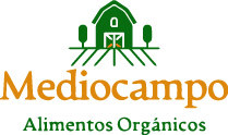 Mediocampo